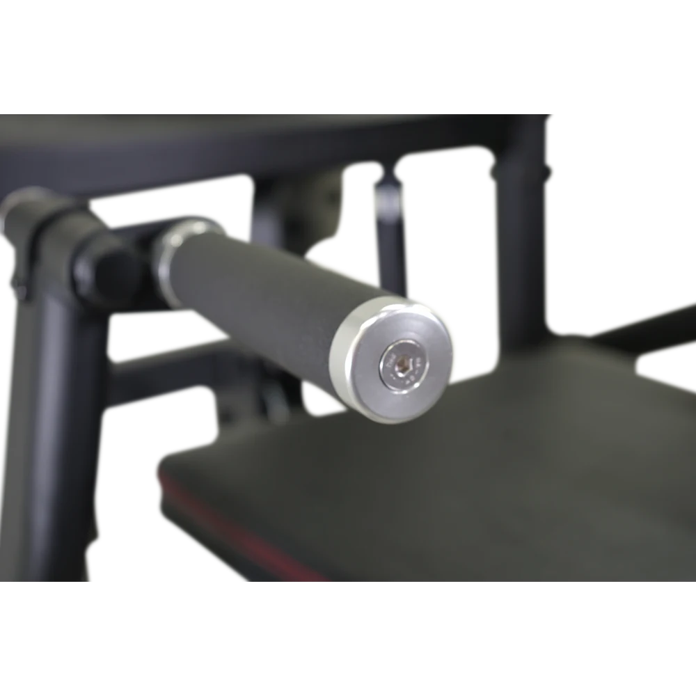 Inspire Commercial Assisted Chin Dip Machine