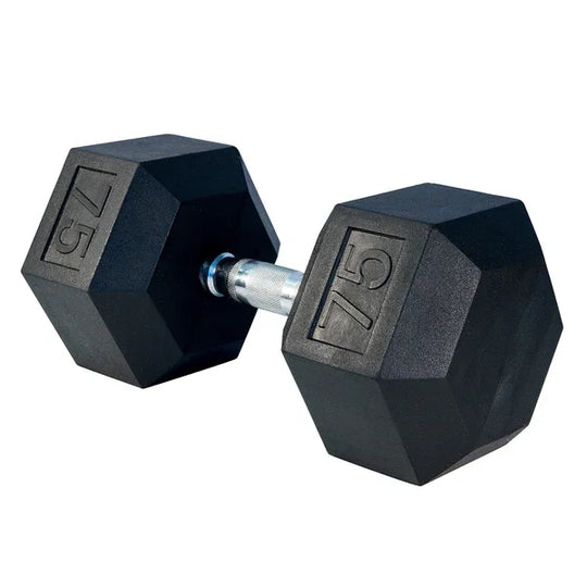 Dumbbell Hexagonal 100lb - Summum Fitness