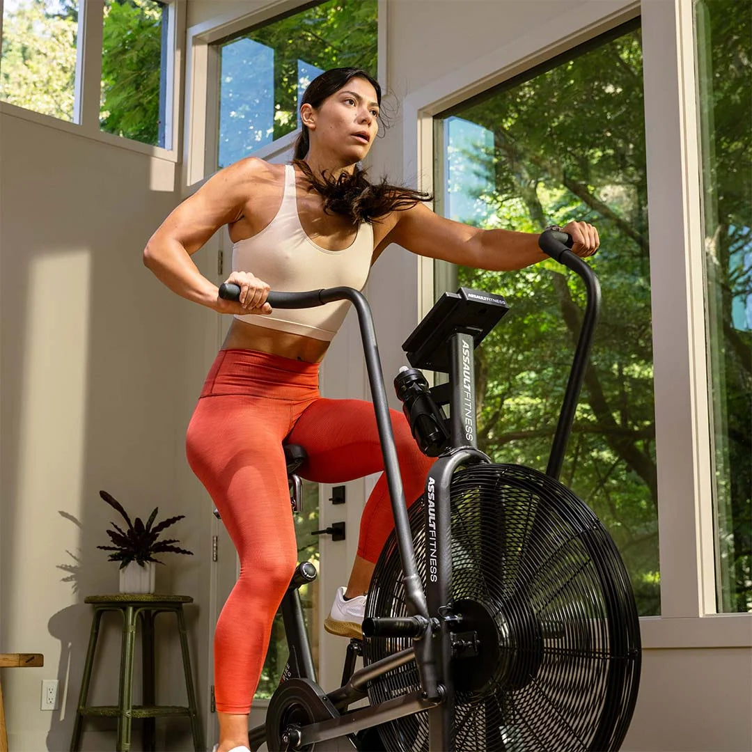 Assault Air Bike Classic