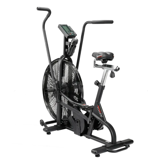 Assault Air Bike Classic