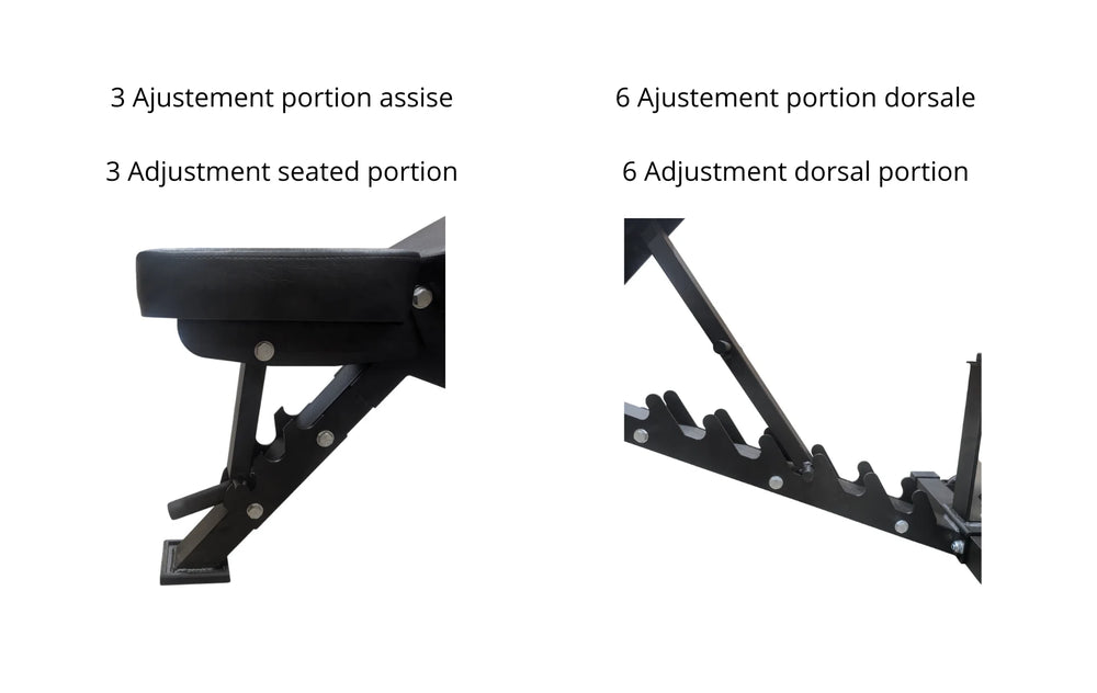 Banc Ajustable FID B1 Pro