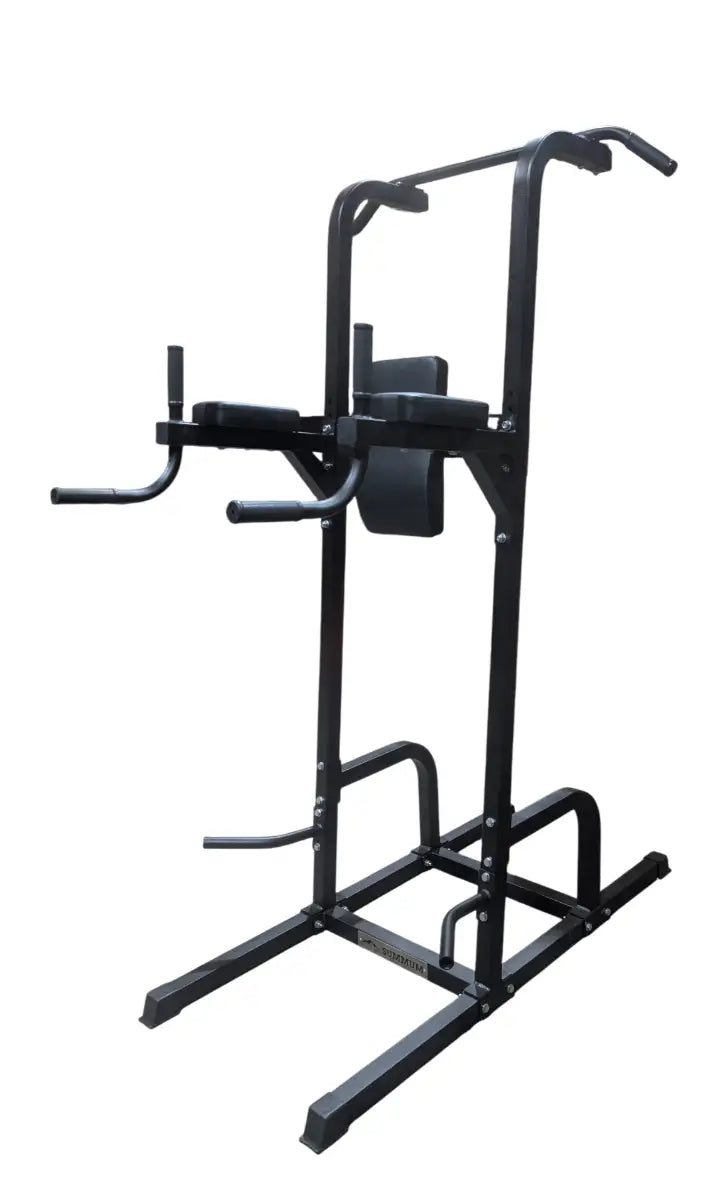 Chin Dip Leg Raise Station Heavy Duty - Summum Fitness