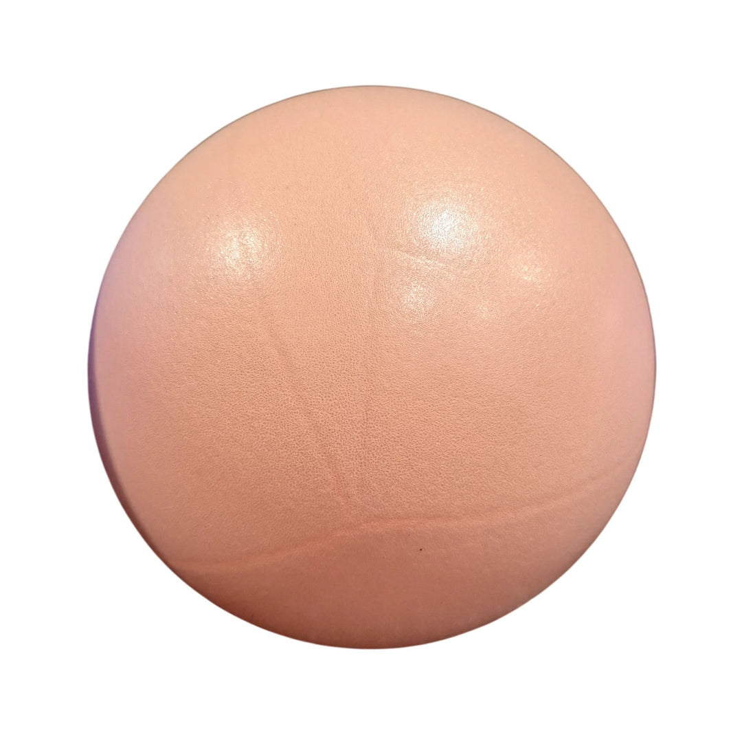 Poz-A-Ball - Summum Fitness