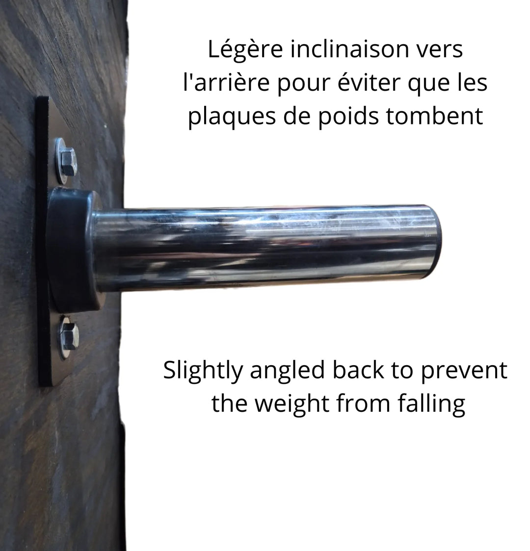 Plate Storage Pins Wall Mounted - Summum Fitness